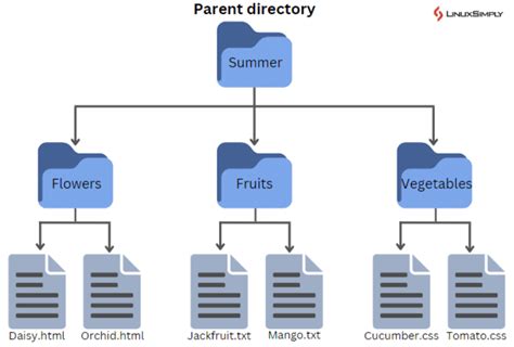 Changing Directories And Files Permissions Recursively With Chmod