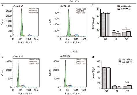 Frontiers Downregulation Of PRKCI Inhibits Osteosarcoma Cell Growth