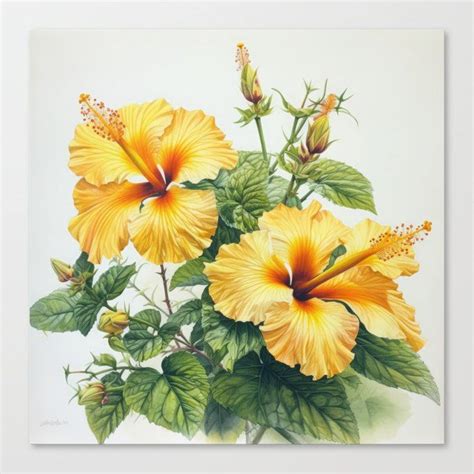 Yellow Hibiscus Canvas Print By VanoverDesigns Flower Prints Art