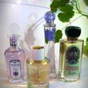 Franca Feretti Siesta Brocard parfem - parfem za žene 2018