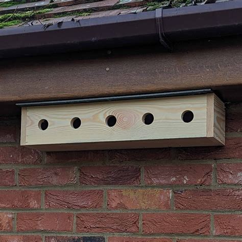 Sparrow Colony Nesting Box with SIG® Slate Roof | 90 Day Free Returns