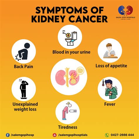 Kidney Cancer Symptoms Causes And Treatment