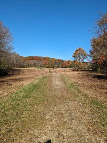 Best Forest Trails in Waterford | AllTrails