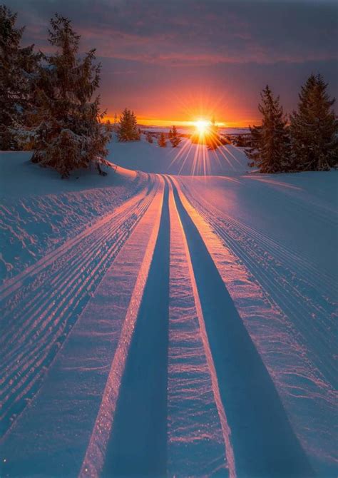 This sunset with car tracks in the snow : r/oddlysatisfying