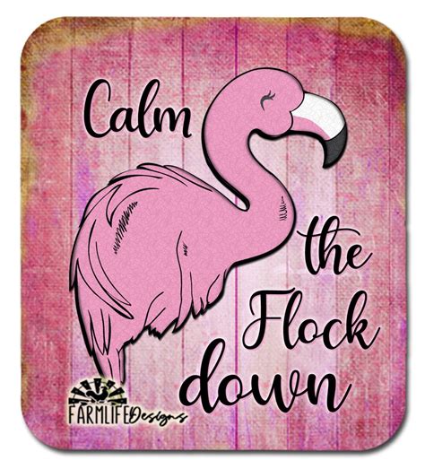 Flamingo Magnet Calm The Flock Down X Pink Flamingos Magnet