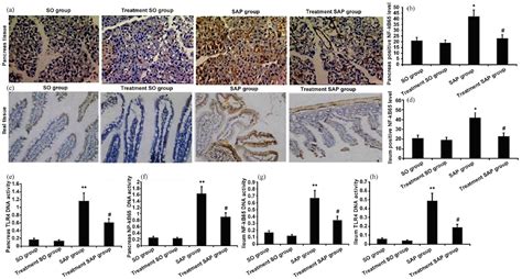 Protective Effects Of Panax Notoginseng Saponins In A Rat Model Of