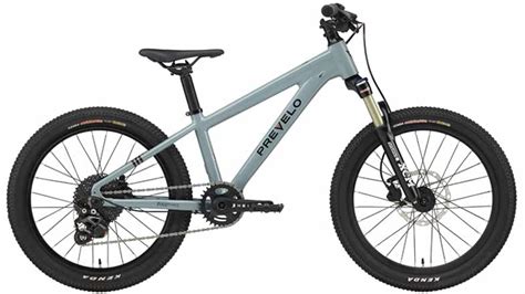 12 Best 20-inch Mountain Bikes for Kids