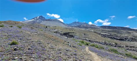 Mount St Helens Loowit Falls Hike July Flickr