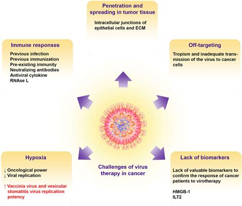 Frontiers Oncolytic Virotherapy In Peritoneal Metastasis Gastric