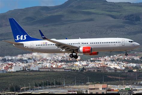 SAS Scandinavian Airlines Boeing 737 NG Max LN RRF Photo 61684