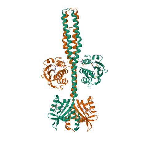 RCSB PDB 8A6X Crystal Structure Of A Chimeric LOV Histidine Kinase