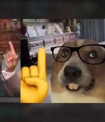 dog nerd emoji raising finger emoji de hecho   meme