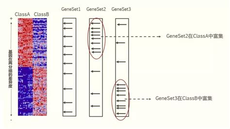 Gsea法基因功能富集分析原理详解 Public Library Of Bioinformatics