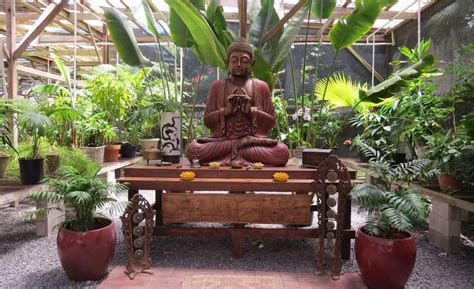 Sacred Garden - Nursey News, Horticulture News, Floriculture News ...