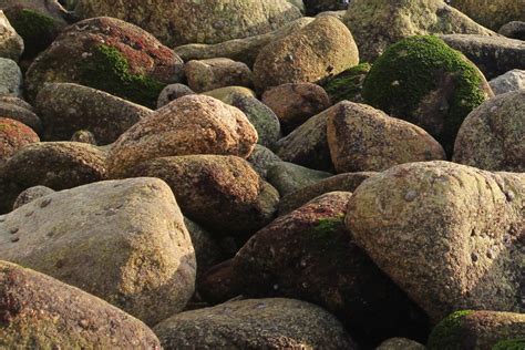 Free Images Tree Grass Rock Plant Lawn Stream Green Pebble