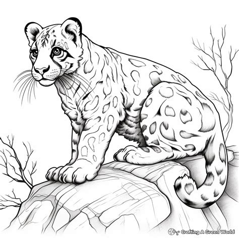 Clouded Leopard Coloring Page Coloring Pages