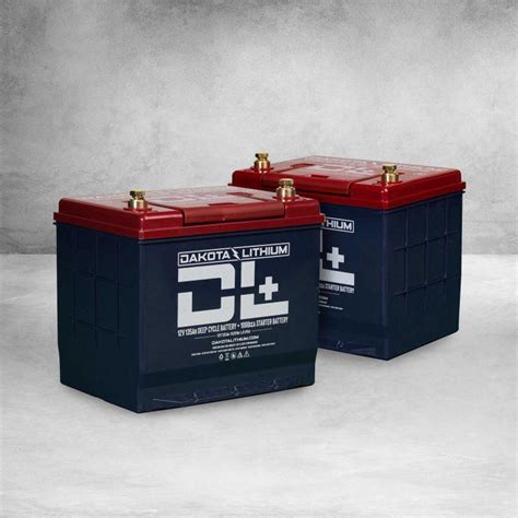 DL 24V 135Ah Dual Purpose Trolling Motor Battery Set