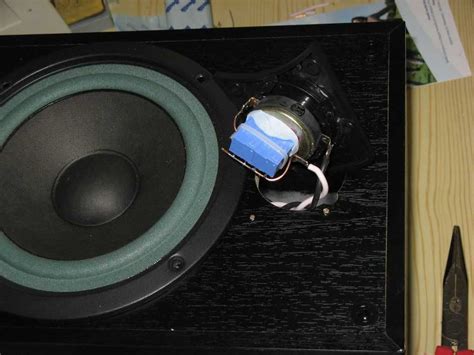 Jeftini Zvucnici Od Babe Devojka Zvu Nici Diyaudio Rs