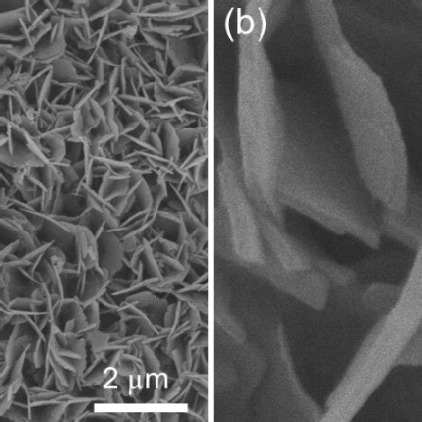 Fig S A Low Magnified And B High Magnified Sem Images Of Bare If