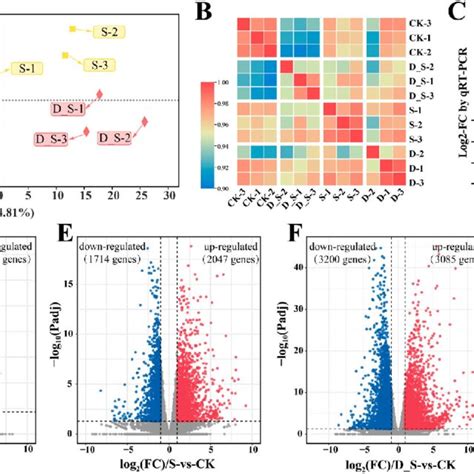 Rna Seq Results And Qrt Pcr Validations A Pca B Correlation