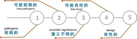 怎样看懂一份基因检测报告：给胚系突变分个类 知乎