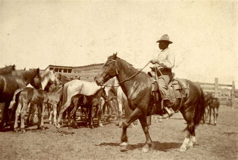 Black Cowboys Special Exhibit Grand Opening - Chisholm Trail Heritage