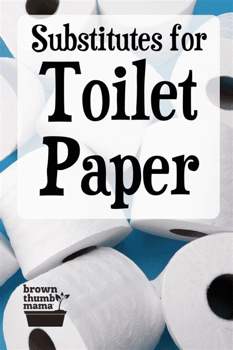 5 Natural Alternatives To Toilet Paper Brown Thumb Mama®