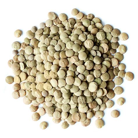 Organic Whole Green Lentils Buy In Bulk From Food To Live