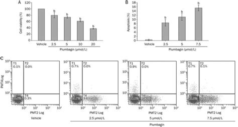 Plumbagin Decreased Viability And Induced Cell Apoptosis In