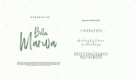 Hand Drawn Typeface Set Isolated On White Brush Painted Characters