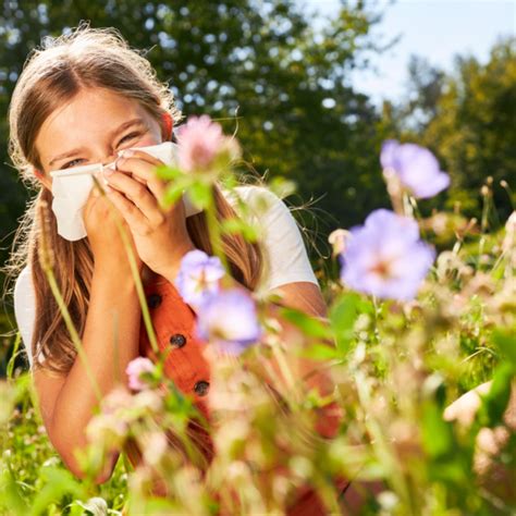 Was Hilft Bei Einer Pollenallergie Meduplus E Learning Portal