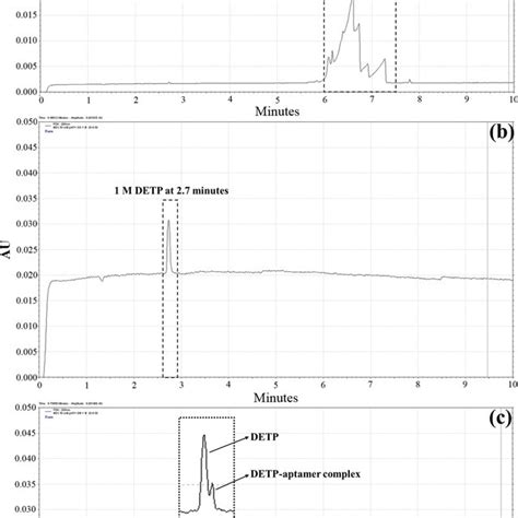 Calibration Curves And HPLC Chromatograms Of DETP In PBS Calibration