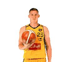 plkpl varadi sticker plkpl varadi descubrir  compartir gifs