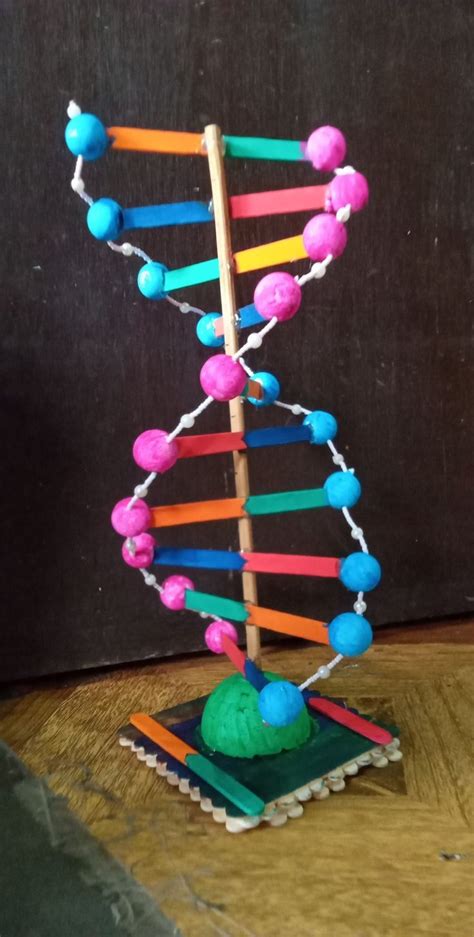 Simple DNA Model Science Project | Dna model, Diy clothes hacks ...