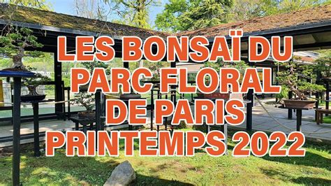 Les Bonsa Du Parc Floral De Paris Printemps Youtube