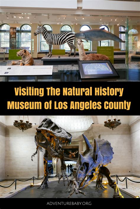 Natural History Museum of Los Angeles County - Adventure, baby!