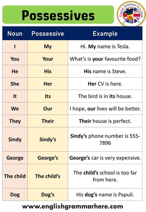 English Using Possessive Pronoun Definition And Examples Possessive Pronouns Pronouns Which Is