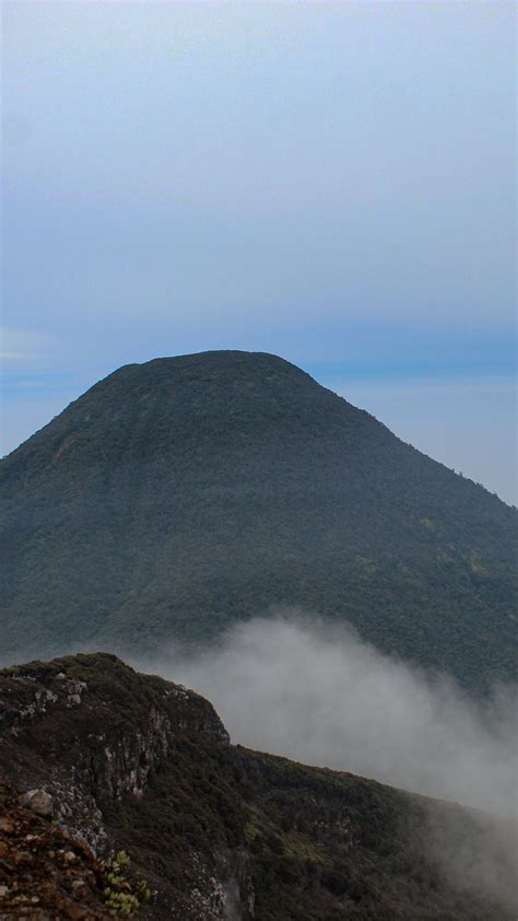 Fakta Fakta Dan Kondisi Pendaki Hilang Di Gunung Pangrango Saat