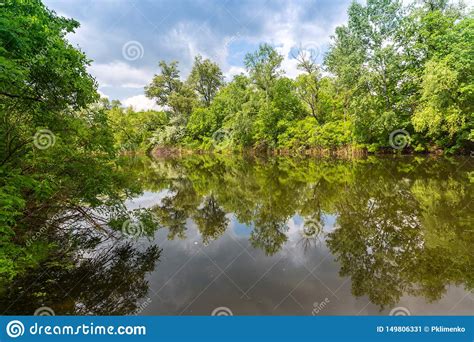 Lake In Forest Stock Image Image Of Tree Background 149806331