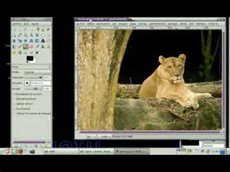 Gimp Tutorial Herramienta Selecci N Rectangular Youtube