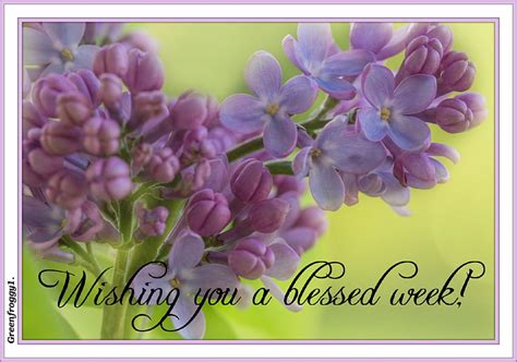 BLESSED WEEK BLESSED COMMENT WEEK CARD HD Wallpaper Pxfuel