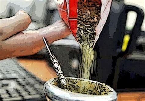 Hist Rico Crecimiento De Las Exportaciones De Yerba Mate Se Exportaron