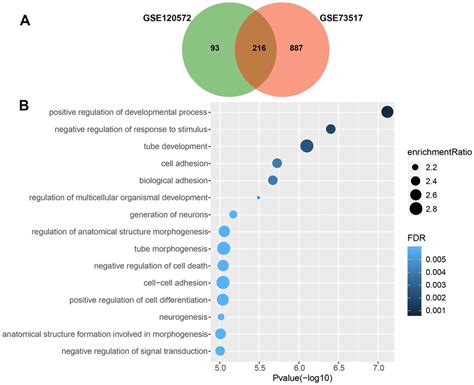 Gene Ontology Enrichment Analysis For Biological Processes GO BP Of