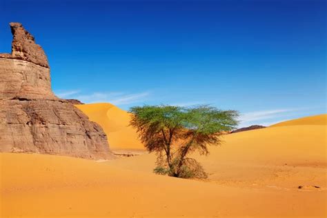 Sahara Desert, Algeria — Stock Photo © muha04 #12793647