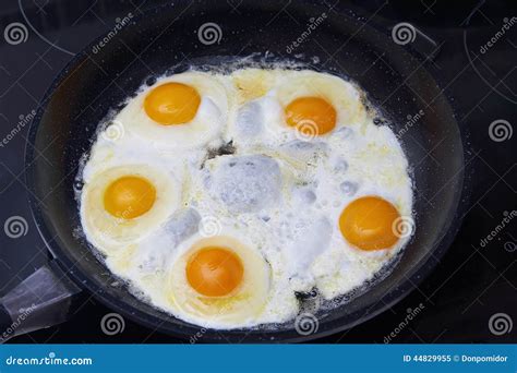 Fried Eggs In A Frying Pan Stock Image Image Of Chicken 44829955