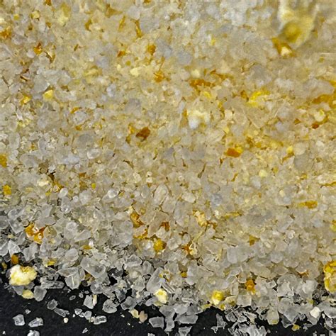 Seasoning Salt — Hollie's Homegrown - Organic, Sustainable, Local Products