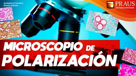 MICROSCOPIO DE POLARIZACIÓN YouTube