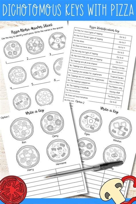 Dichotomous Keys Printable Science Activity Worksheets With Pizzas Dichotomous Key Printable