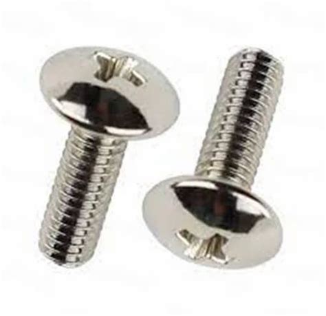 Stainless Steel Ss Philips Truss Head Screw For Industrial Size