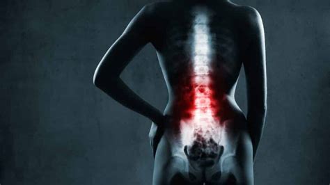 Coceira no ânus prurido anal Portal Drauzio Varella